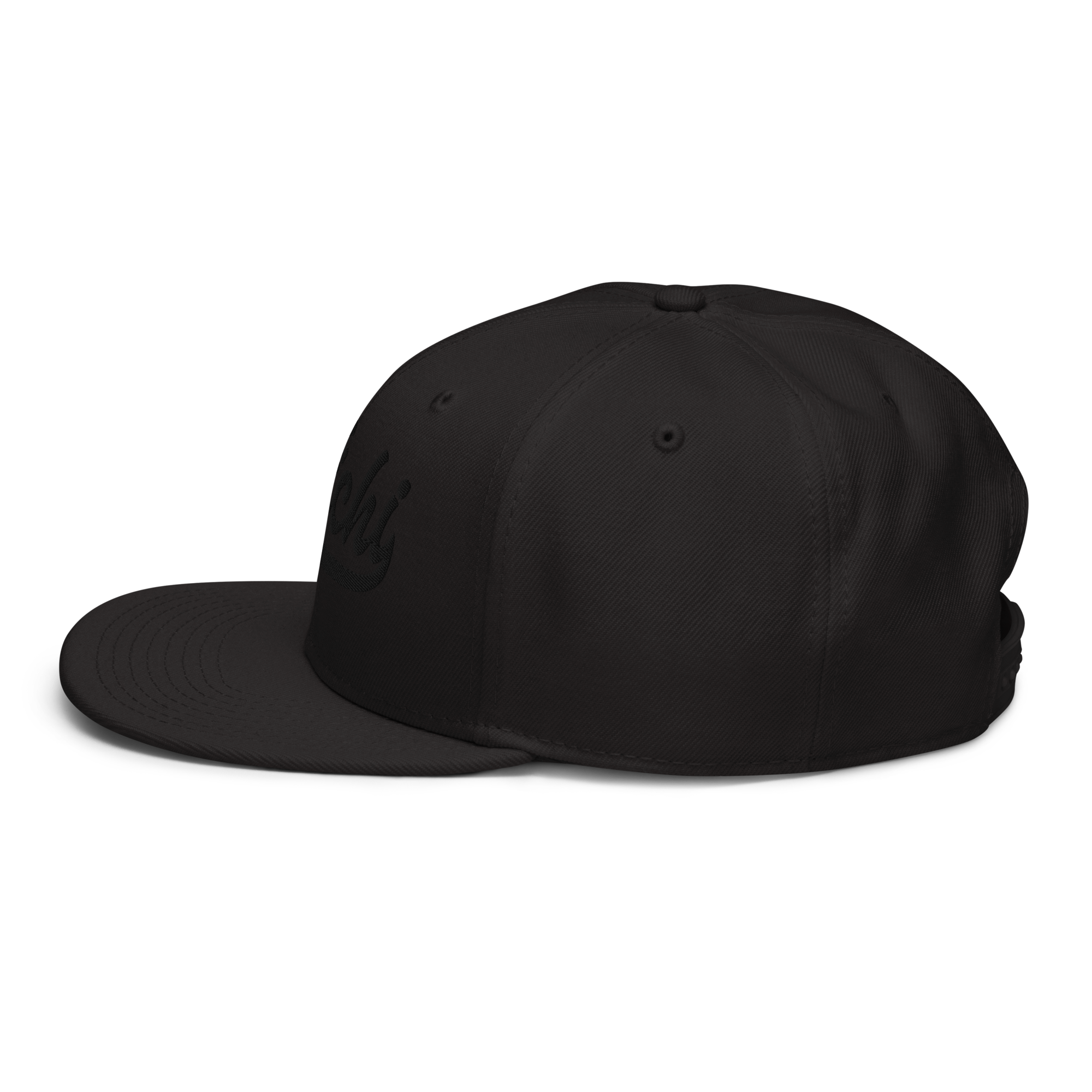 Team Nichi - Snapback Hat (ALL BLACK)